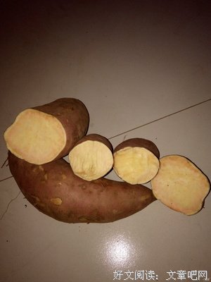 薯