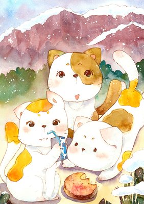 一只猫