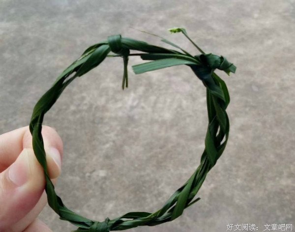一个草环，一份真情