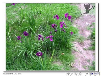 让团结的花儿悄悄开放