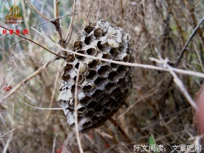 光阴似箭