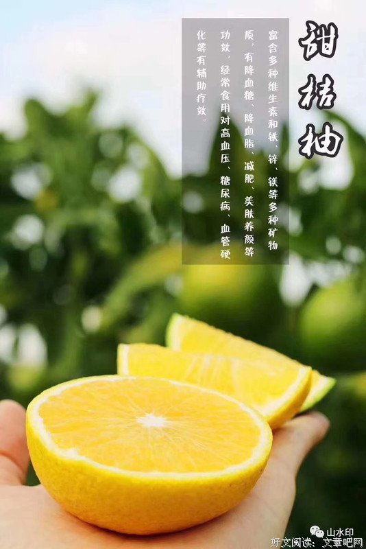山水印丨​“柚”惑无敌的庆元甜桔柚
