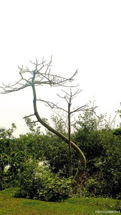 一起快乐“溯源”