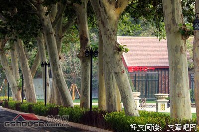 白驹过隙“溯源”之情仍在