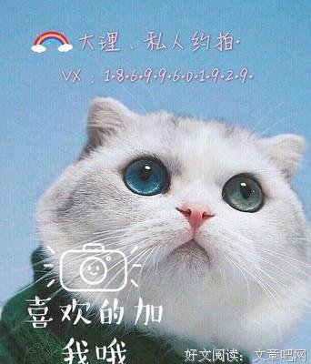 最美的年纪，刚好遇见你