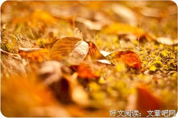 小尘埃