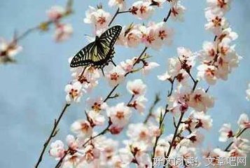 雪花也可能无辜