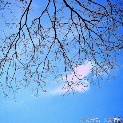 初来乍到，请多指教