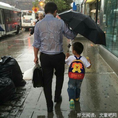 父爱和母爱