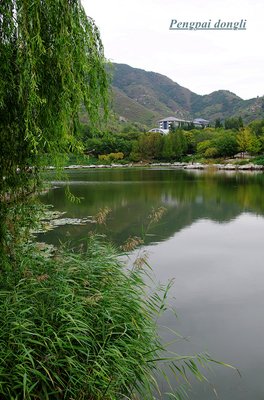 光影人
