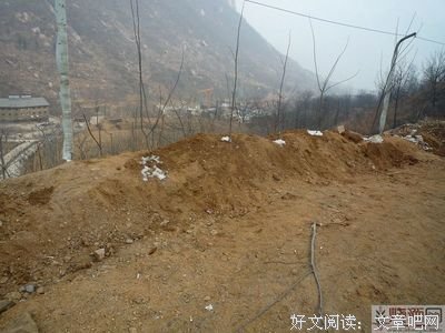 雾霾中的老王