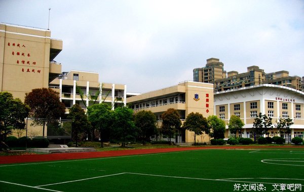 浅谈处井小学学校问题与建议