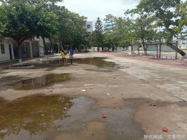 那郭垌三下乡心得