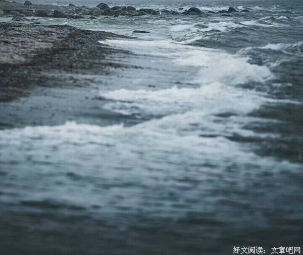 景已逝，情永存