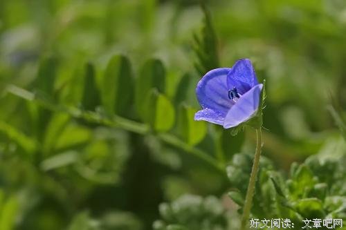 走出保护壳，勇敢尝试