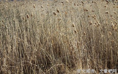 人生你就慢慢走