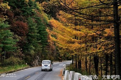 光头山