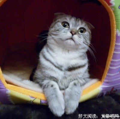 嗨好久不见