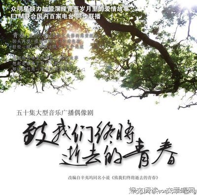 逝去的青春