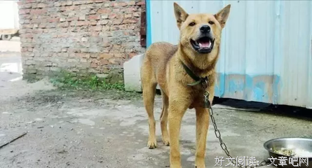 看不见的东西