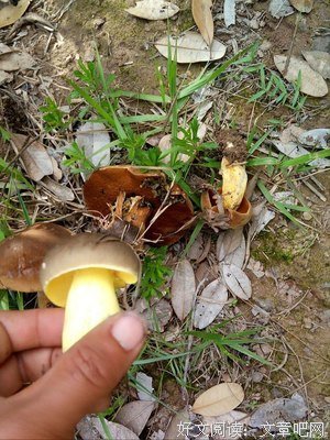忆童年的感恩与爱