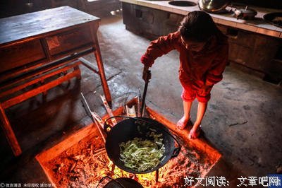洗衣做饭种地