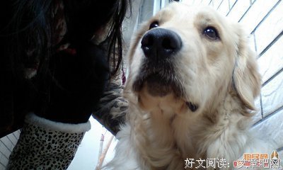 我眼里的金刚