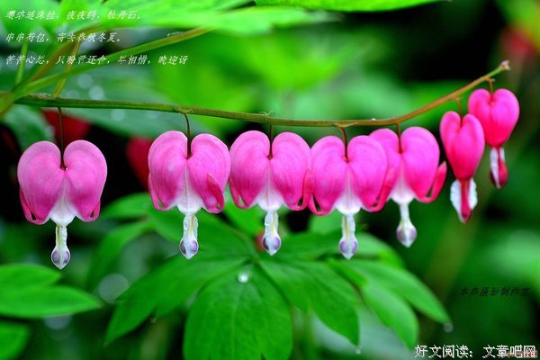 牵挂