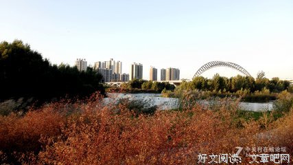 瀛洲