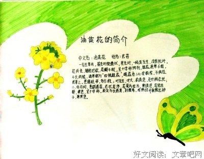 秋天事