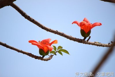 请珍惜当下