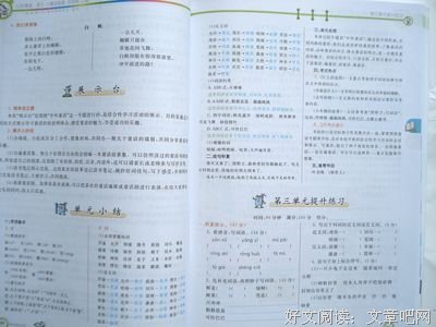 七彩的秋