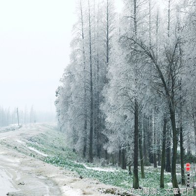 故乡的雪