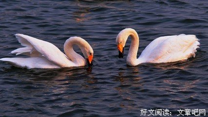 快乐故事