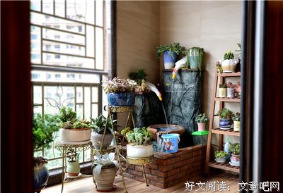 董太太