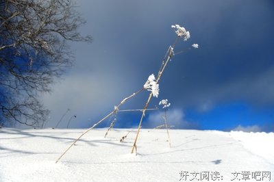 雪落的声音