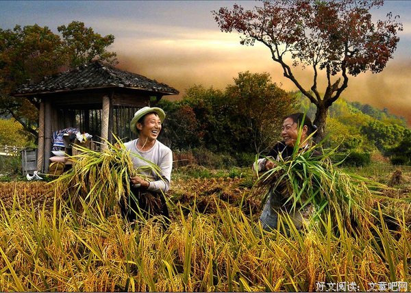 幸福到底是什么