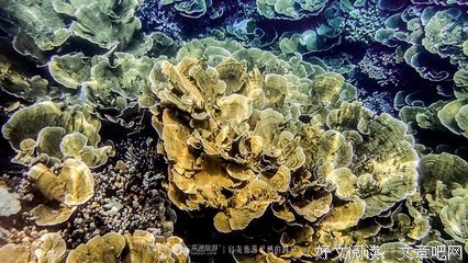 一个秘密
