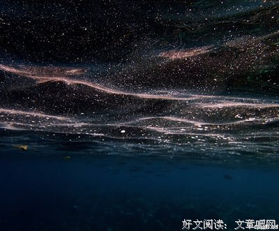 梦境