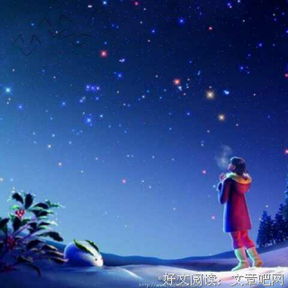 傻子的爱