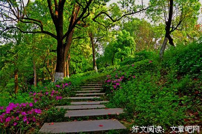 一路走来