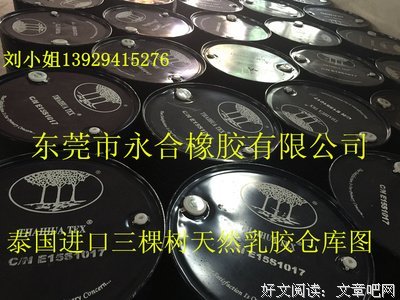 家中的三棵树