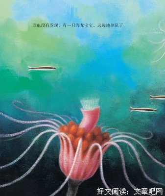 回家记