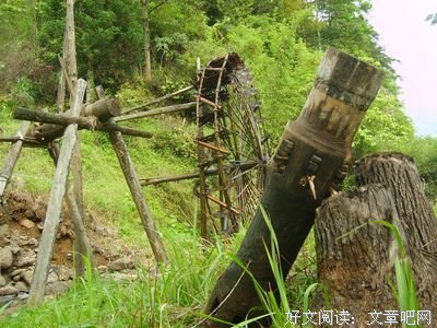 回归自然