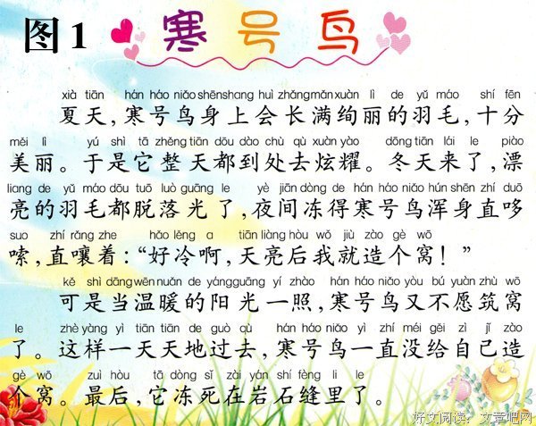 小鸟的故事