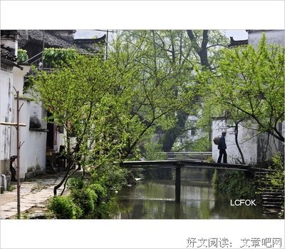 春里的桃花