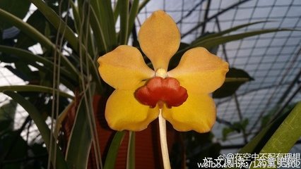 奋发