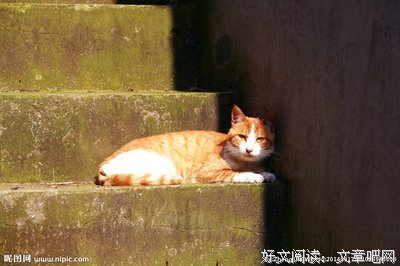 午后
