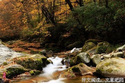 走在秋天