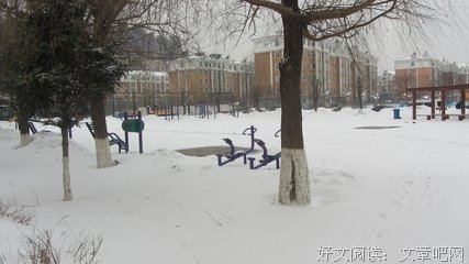 爱上一城